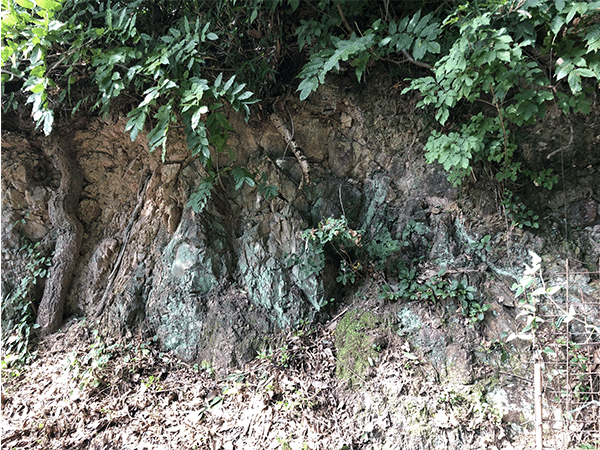 籾山峠の凝灰岩・砂岩・礫岩