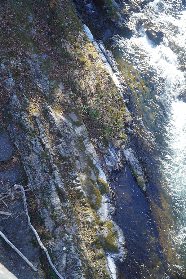 秋川の川岸に見られる地層－高尾橋下（垂直な地層）