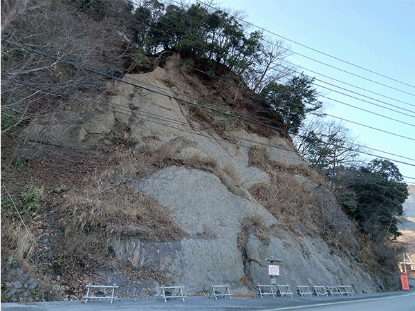 小原島の砂岩層（貝化石）