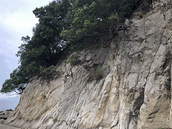鹿浦越のランプロファイヤ岩脈