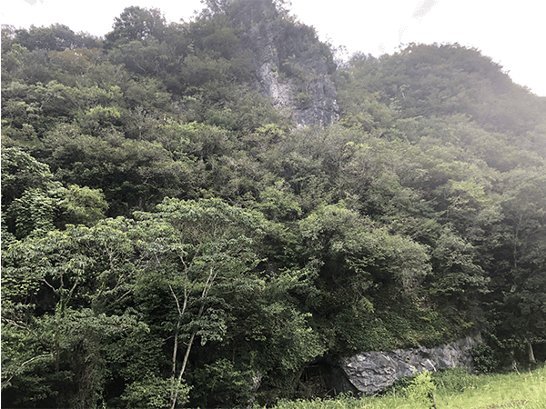 石灰岩層と不動ヶ岩洞窟遺跡