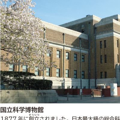 ６年p.206