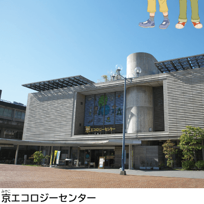 ６年p.207