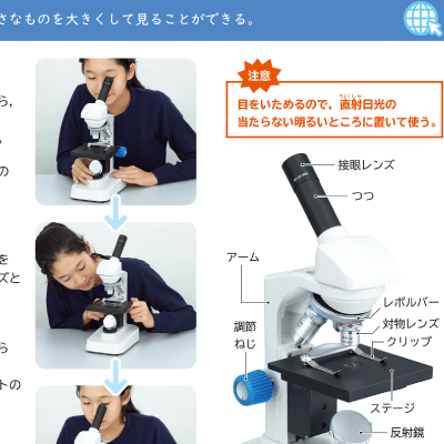 大日本図書 たのしい理科ウェブコンテンツ 動画