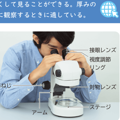 ６年p.215