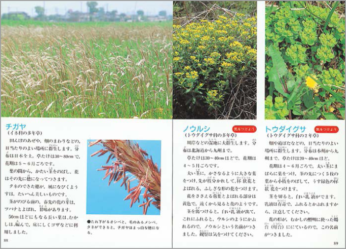 身近な雑草・雑木の名前がわかる!