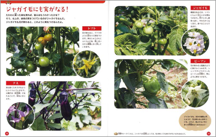 パワーあふれる植物の全体像を解説!