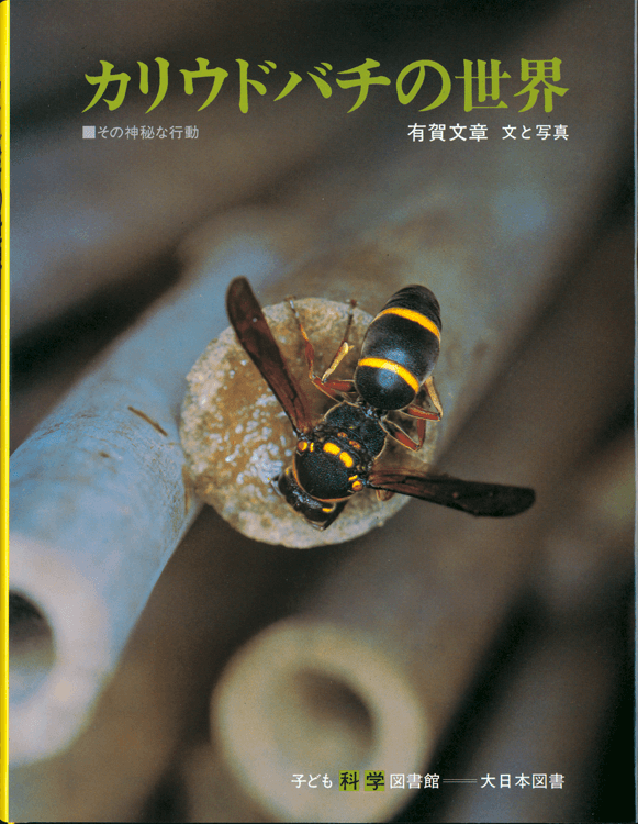 カリウドバチの世界