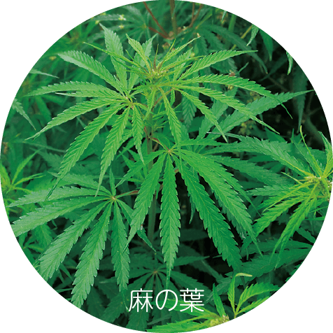 麻の葉