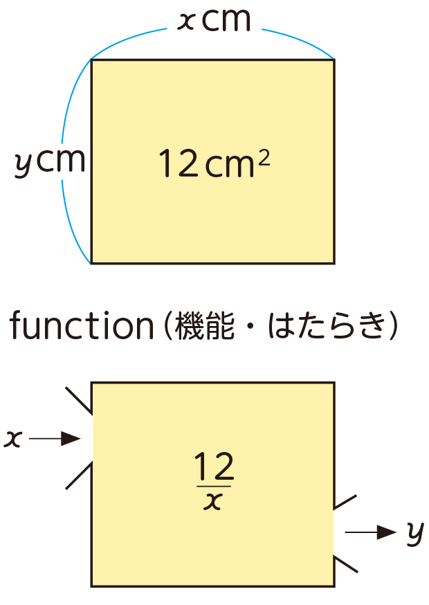 機能・はたらき
