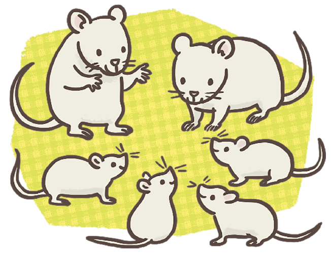 ねずみ