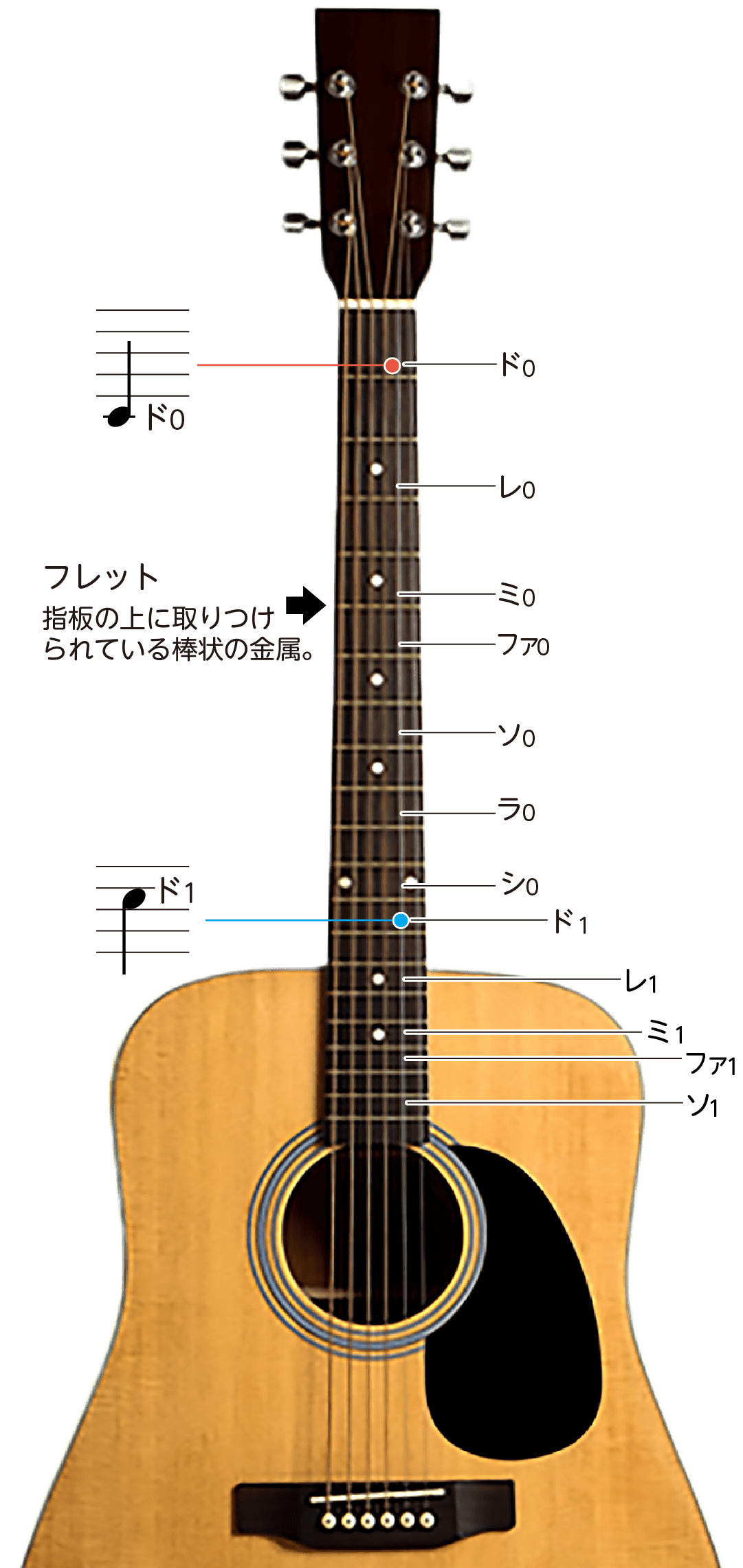 ギターのフレット