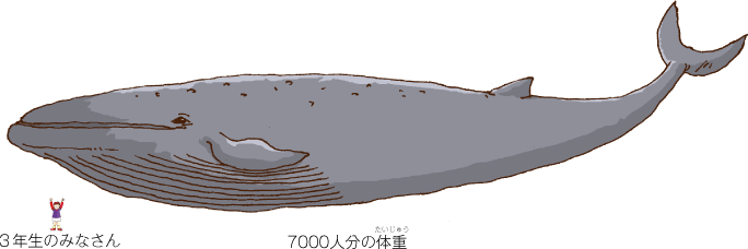 子どもに食べ物をあたえる親ツバメ