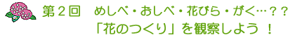 第2回　めしべ・おしべ・花びら・がく…？「花のつくり」を観察しよう！