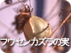 フウセンカズラの実