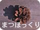 まつぼっくり