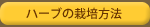 ハーブの栽培方法
