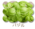 バジル