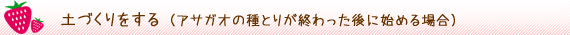 土作りをする（アサガオの種とりが終わった後に始める場合）