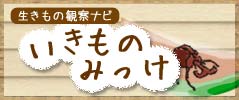 いきものみっけ