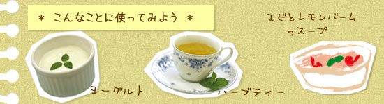 ヨーグルトやハーブティーに使ってみよう