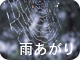 雨あがり