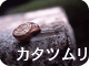 カタツムリ
