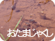 おたまじゃくし