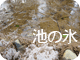 池の氷
