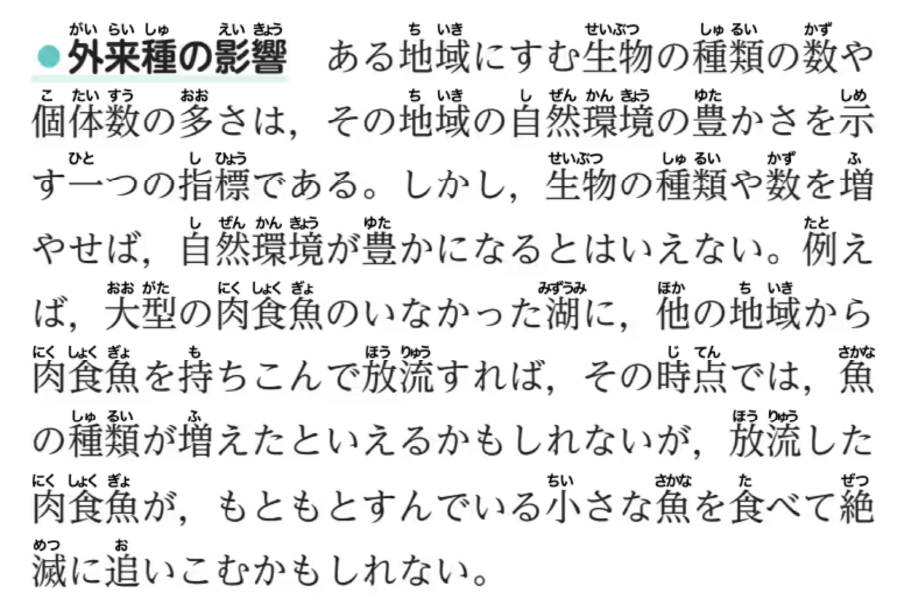 総ルビ｜表示
