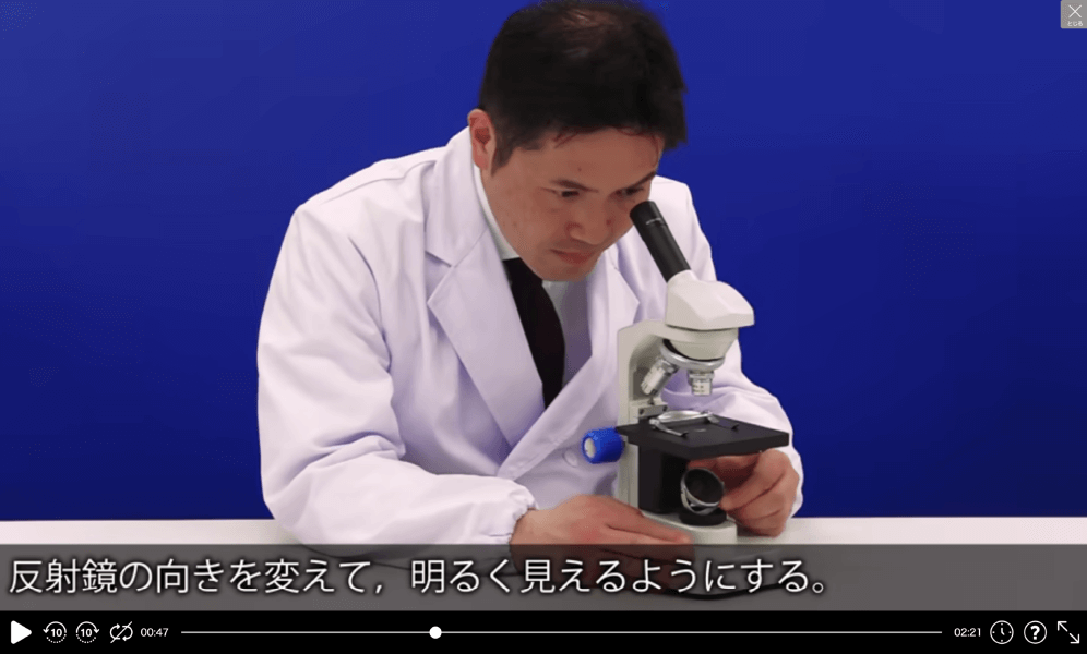 基本操作｜顕微鏡の使い方