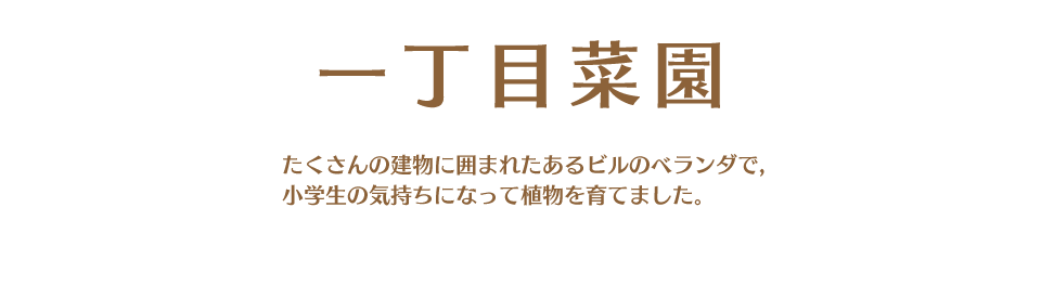 一丁目菜園：　たくさんの建物に囲まれたあるビルのベランダで，小学生の気持ちになって植物を育てました。