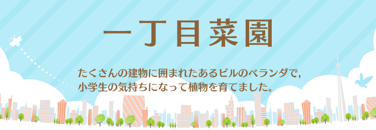 一丁目菜園：　たくさんの建物に囲まれたあるビルのベランダで，小学生の気持ちになって植物を育てました。