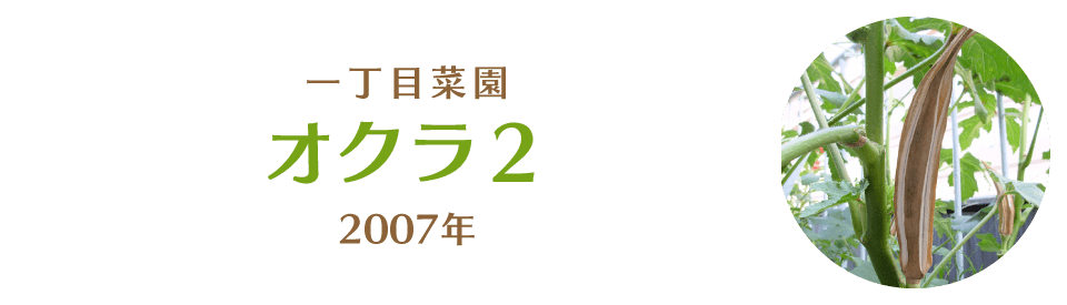 オクラ２｜一丁目菜園