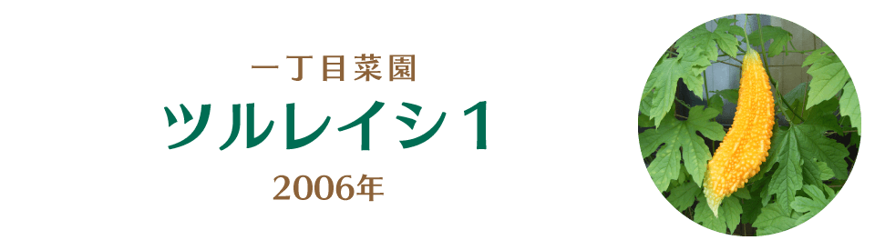 ツルレイシ１ 大日本図書