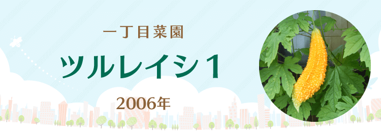 ツルレイシ１ 大日本図書