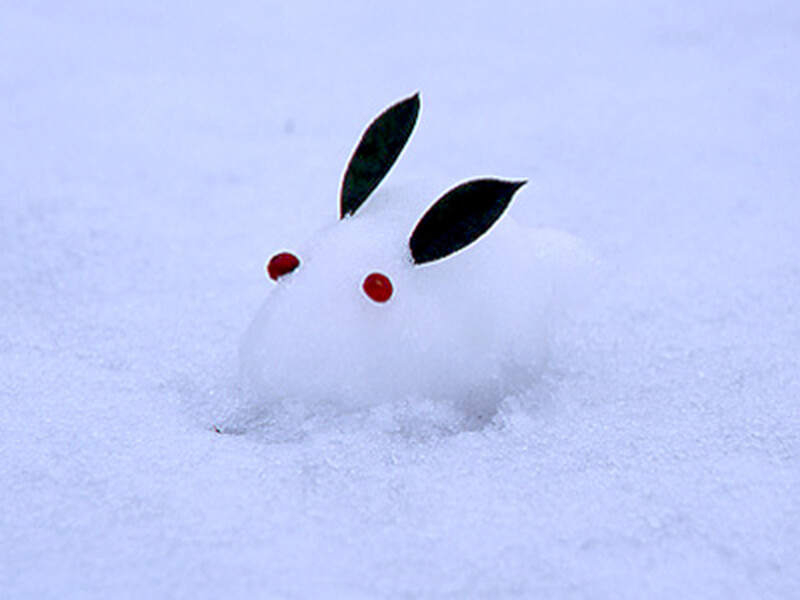 雪ウサギ