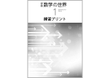 新版 数学の世界１ 練習プリント