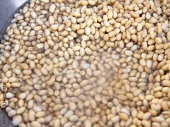 大豆を水につける