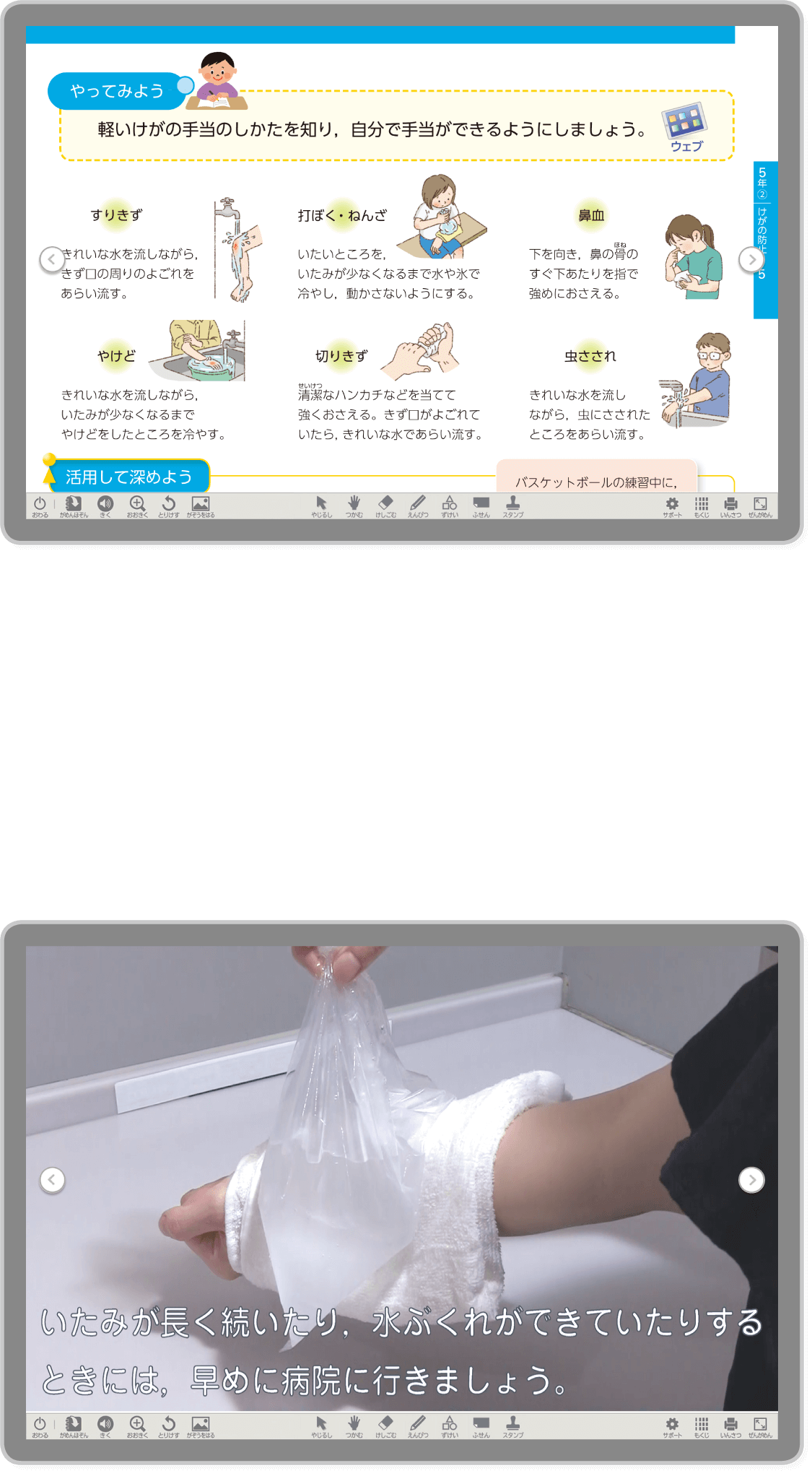内容解説：指導者用　デジタル教科書