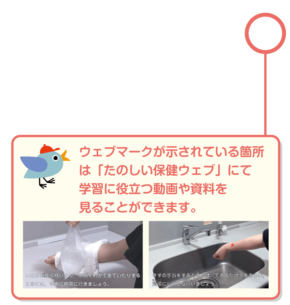 内容解説：ウェブコンテンツ