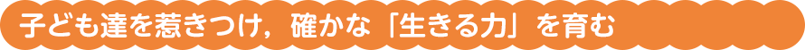 子ども達を惹きつけ，確かな「生きる力」を育む