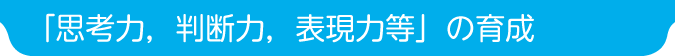 「思考力，判断力，表現力等」の育成