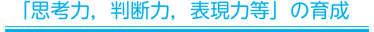 「思考力，判断力，表現力等」の育成