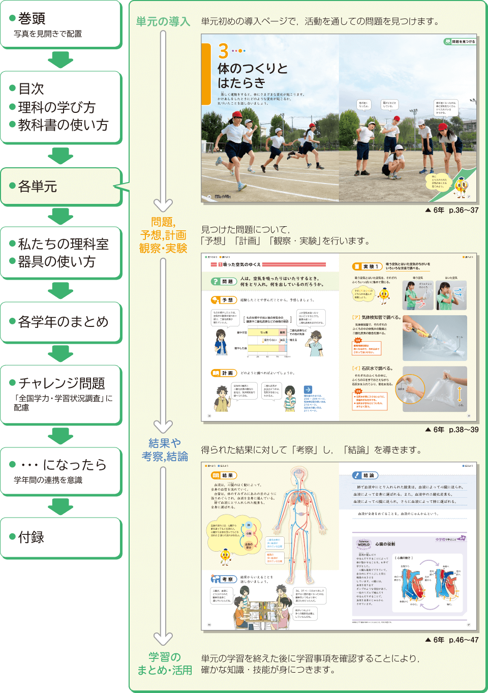 たのりい理科の構成