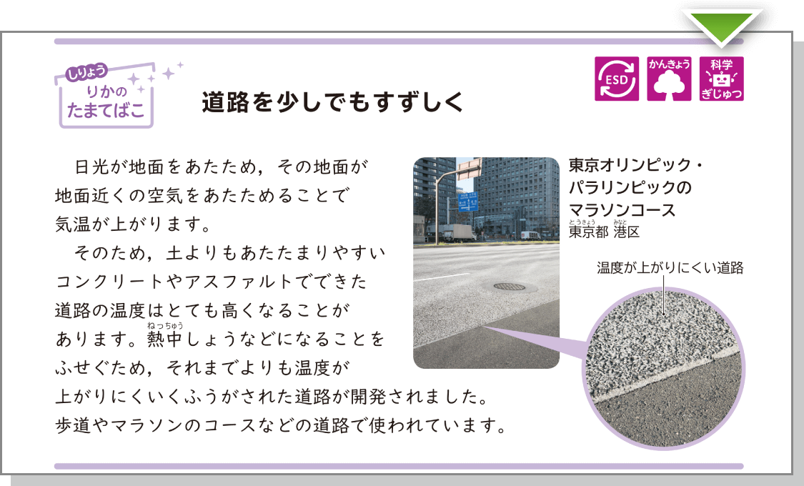 内容解説：道路を少しでもすずしく