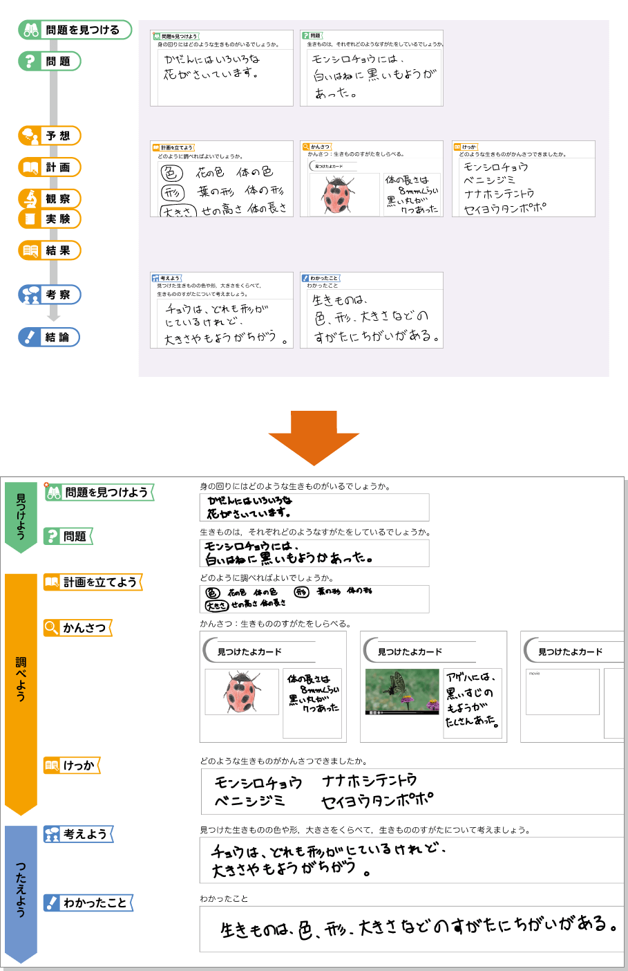 内容解説：学習者用デジタル教材