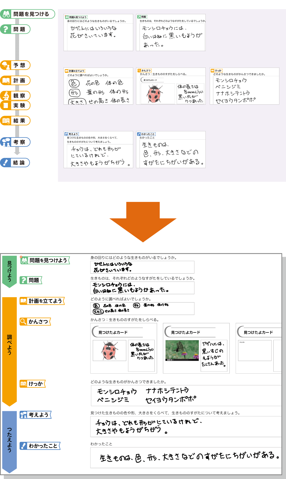 内容解説：学習者用デジタル教材