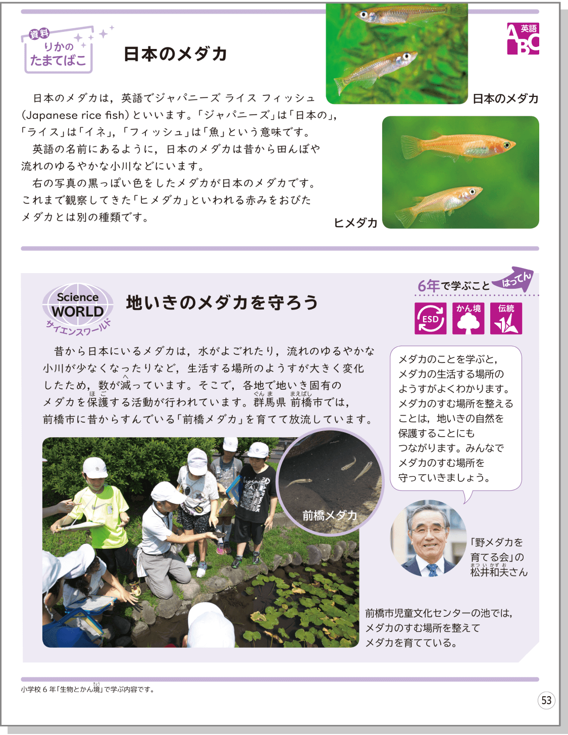 内容解説：地いきのメダカを守ろう