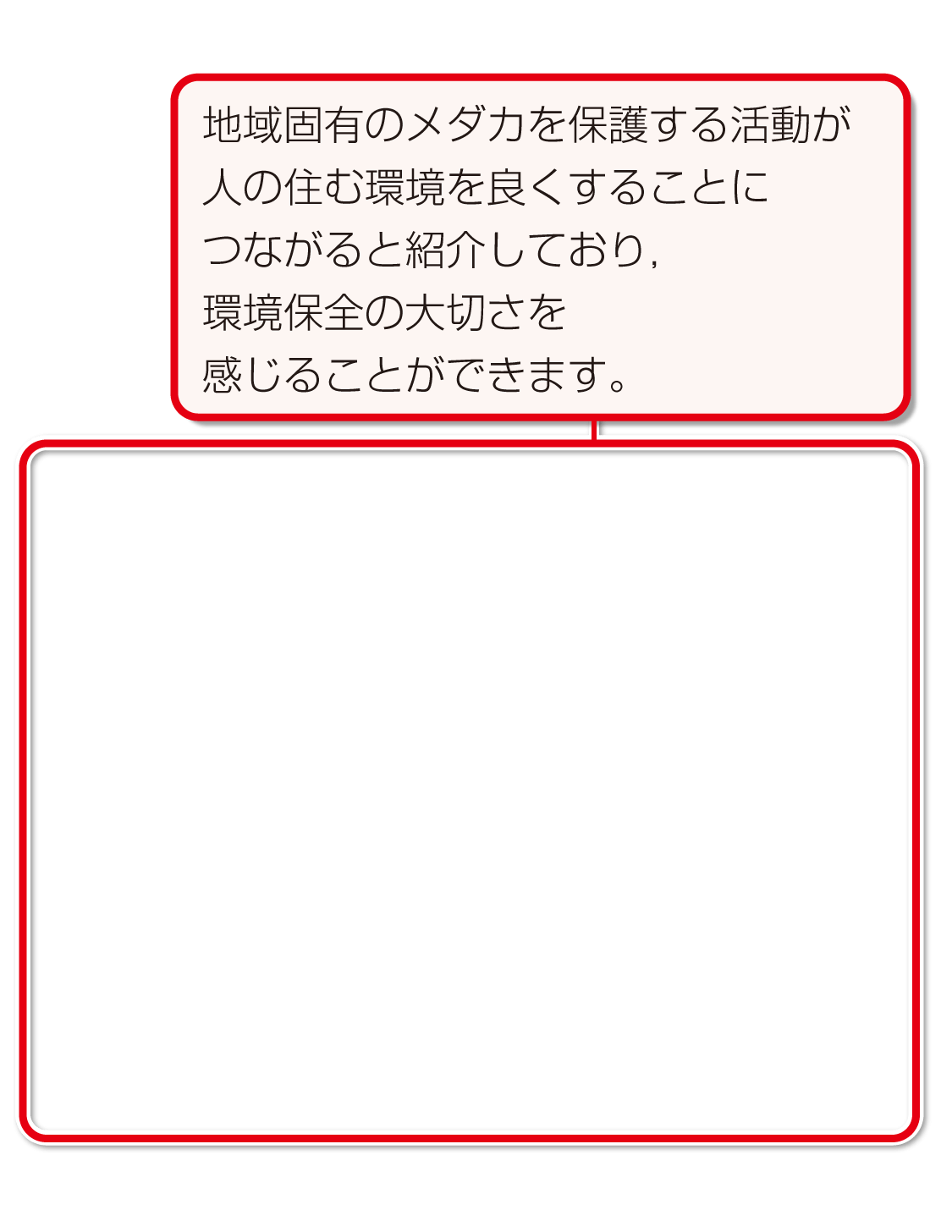 内容解説：地いきのメダカを守ろう